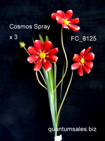 36" Cosmos Spray x 3  ( $3.60 )